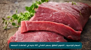 أسعار قياسية.. اللحوم تنطلق بسعر الضاني 427 جنيه في تعاملات الجمعة